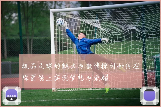 极品足球的魅力与激情探讨如何在绿茵场上实现梦想与荣耀