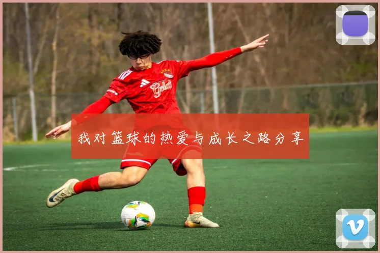 我对篮球的热爱与成长之路分享